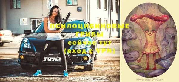 винт Лиски