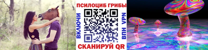 Галлюциногенные грибы Psilocybe гидра Туран